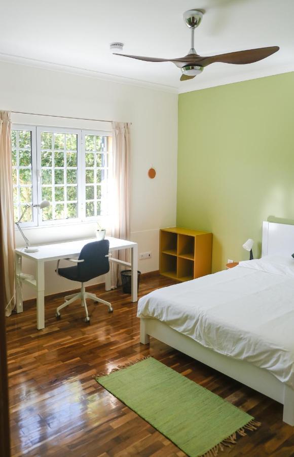 Lava Acores Coliving & Coworking Ribeira Grande Kültér fotó