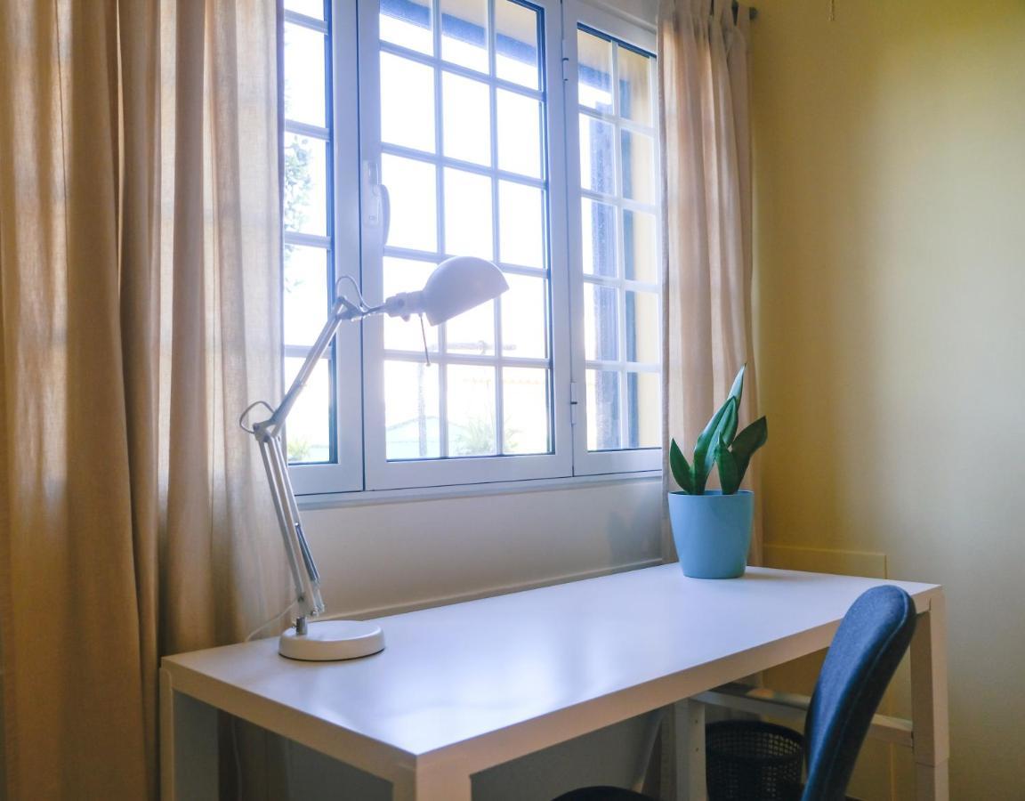 Lava Acores Coliving & Coworking Ribeira Grande Kültér fotó