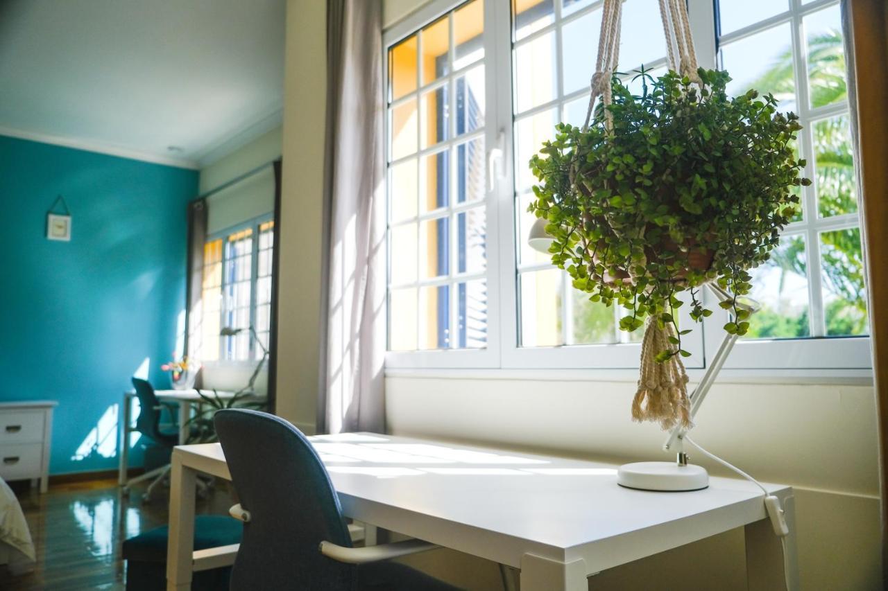 Lava Acores Coliving & Coworking Ribeira Grande Kültér fotó