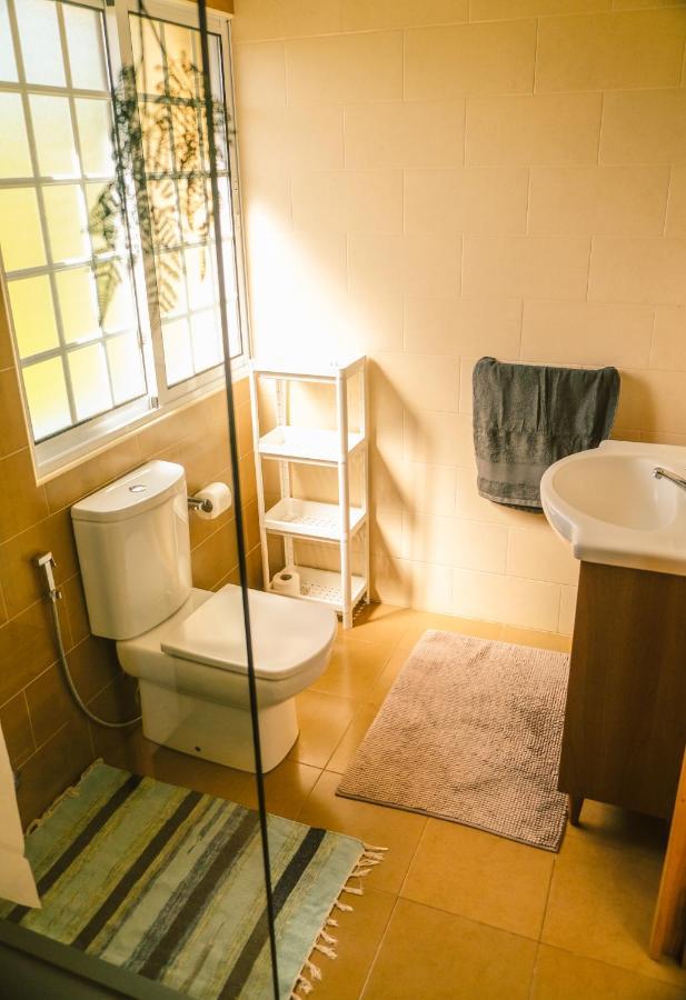 Lava Acores Coliving & Coworking Ribeira Grande Kültér fotó