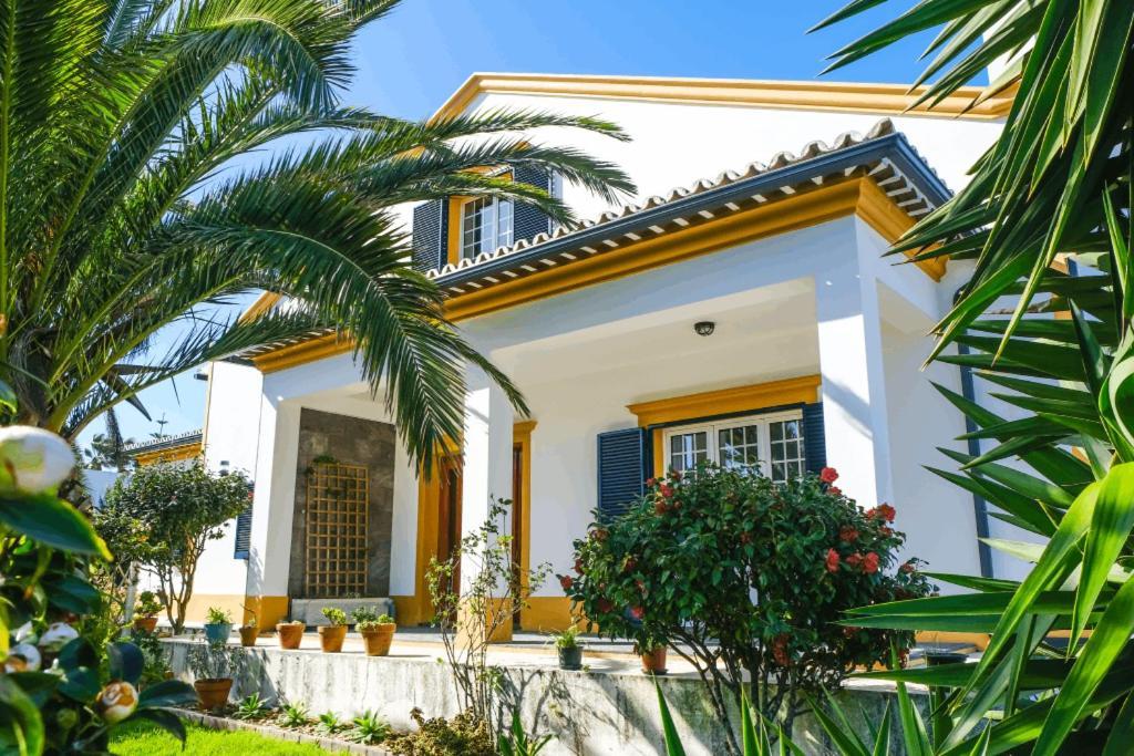 Lava Acores Coliving & Coworking Ribeira Grande Kültér fotó